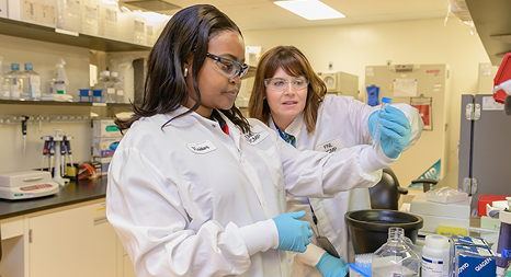 Certified Regulatory Professionals Program <span class="highlight">(Chemicals)</span>